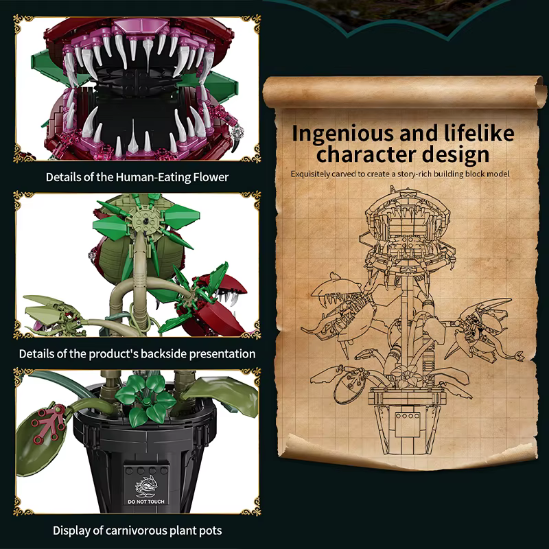 Plante carnivore créative en pot