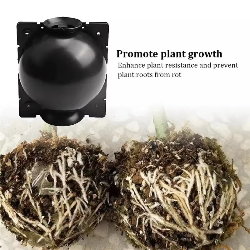 Lot de 10 Boîtes de Propagation pour Racines de Plantes – Réutilisables pour l'Enracinement