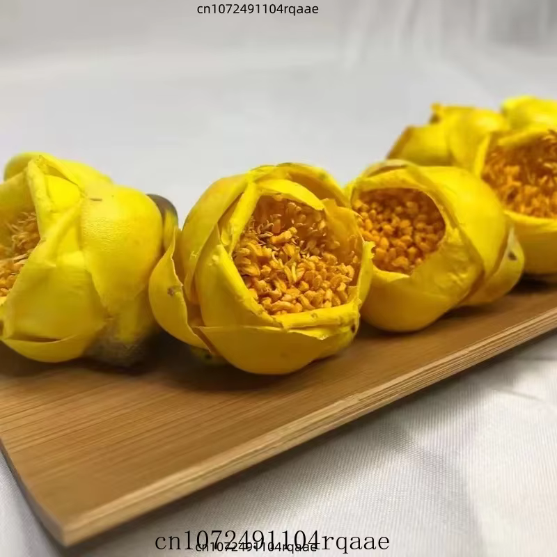 Fleur de Camellia Nitidissima séchée de qualité supérieure 50g/100g/200g