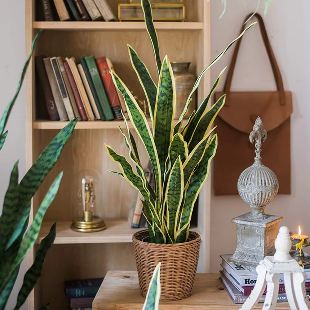 Plantes de serpent artificielles 22 "