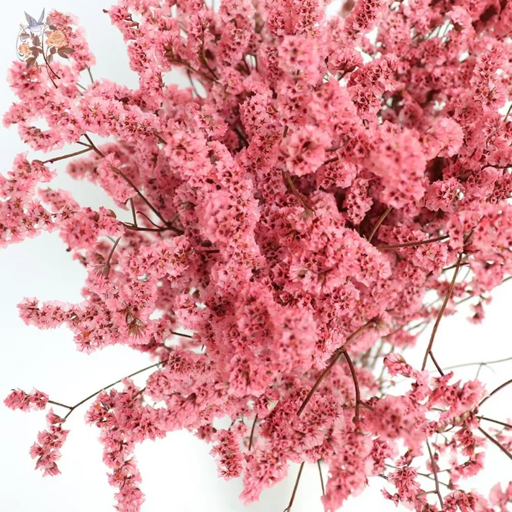 Bouquet de fleurs séchées colorées en herbe de cristal préservée naturelle