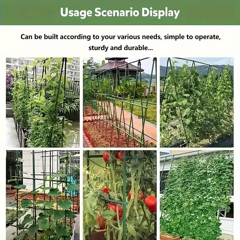 Nouvelles tiges de soutien pour plantes de tomates - robustes et durables