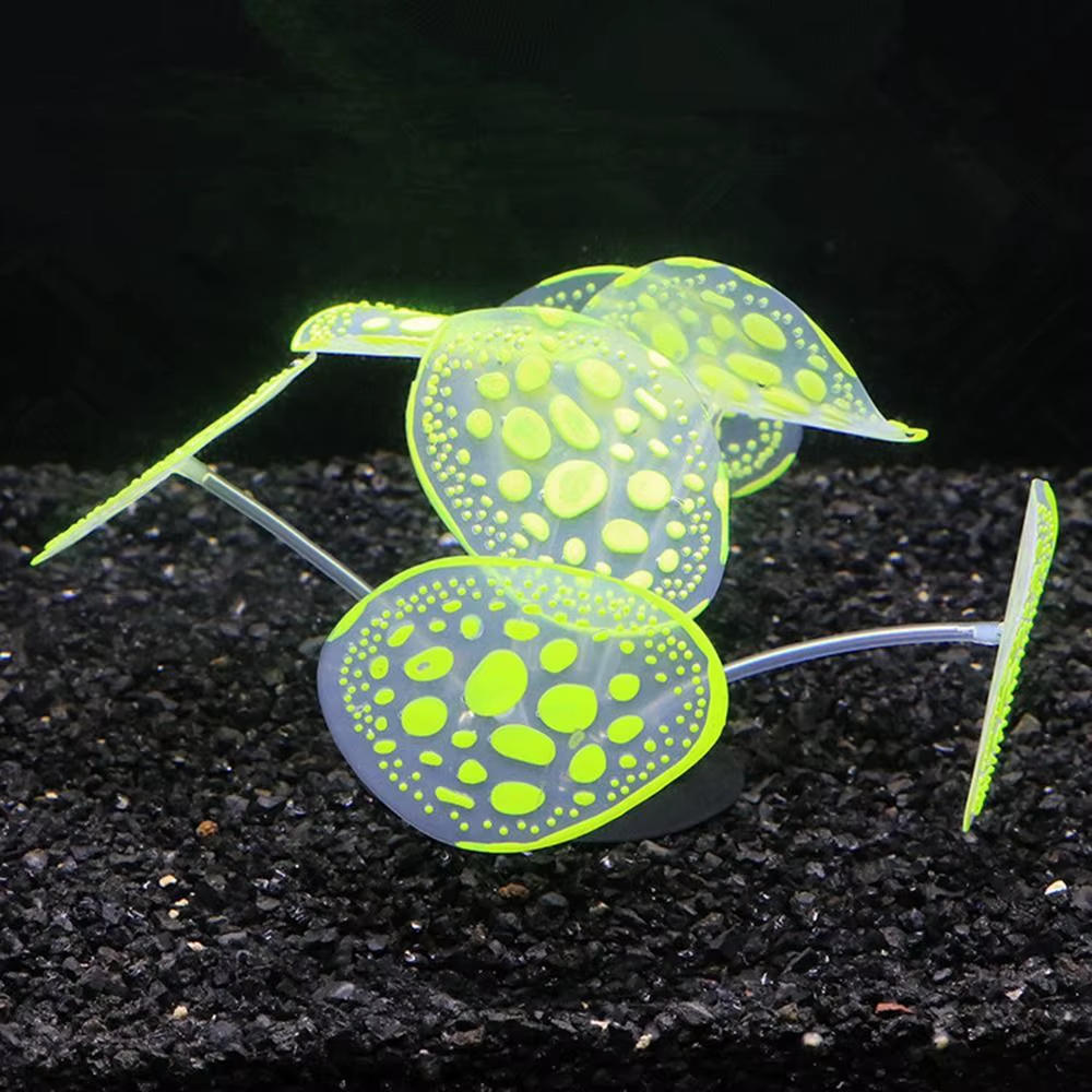 Plantes lumineuses en Silicone
