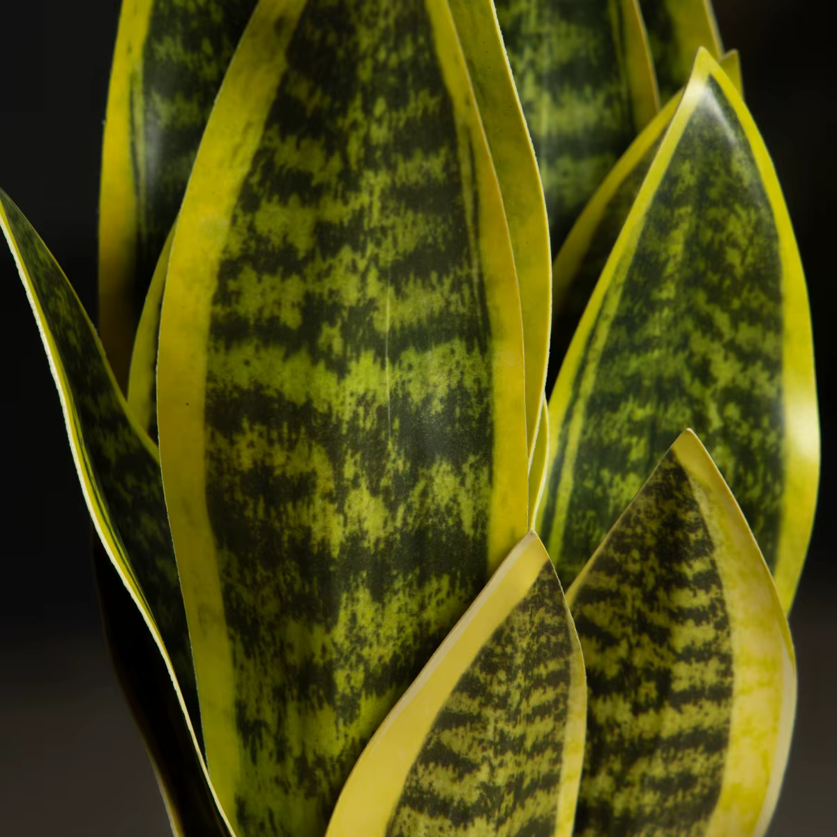 32/37cm plantes succulentes artificielles fausse Sansevieria intérieur fourrure de tigre tropicale