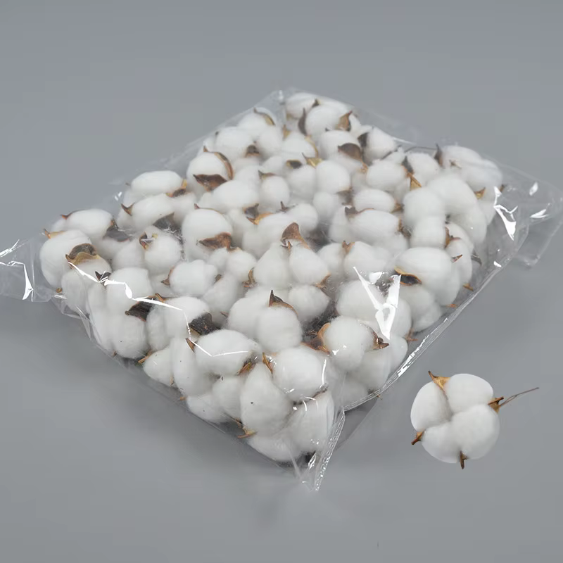 80 pièces de fleurs artificielles en coton blanc de 6 cm