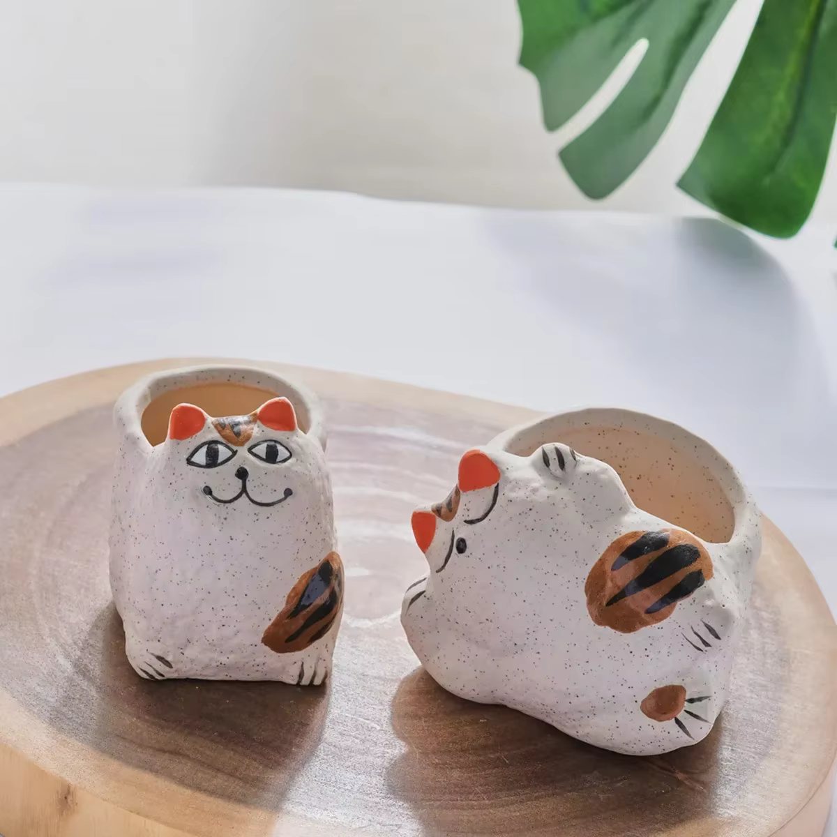 Pot de fleur succulent en céramique Fortune Cat