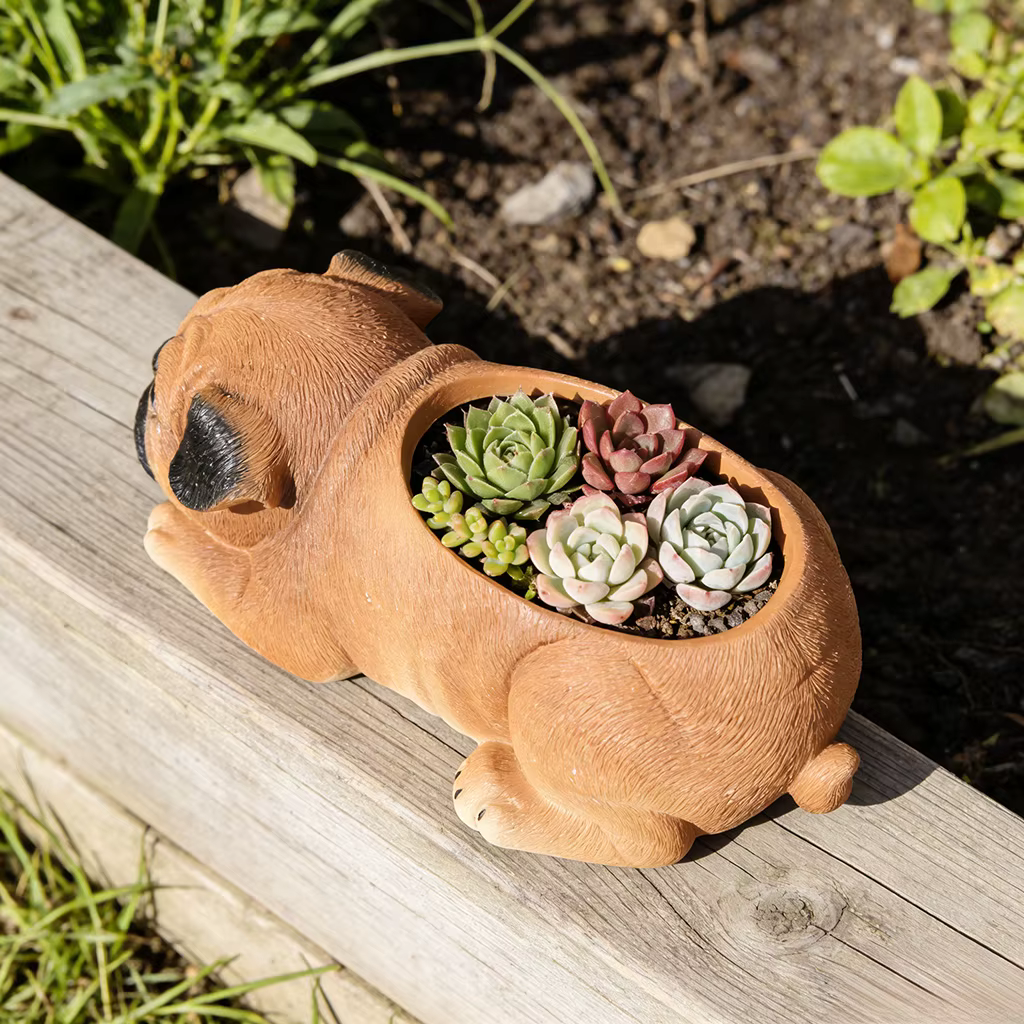 Pot de fleurs pour succulentes en résine