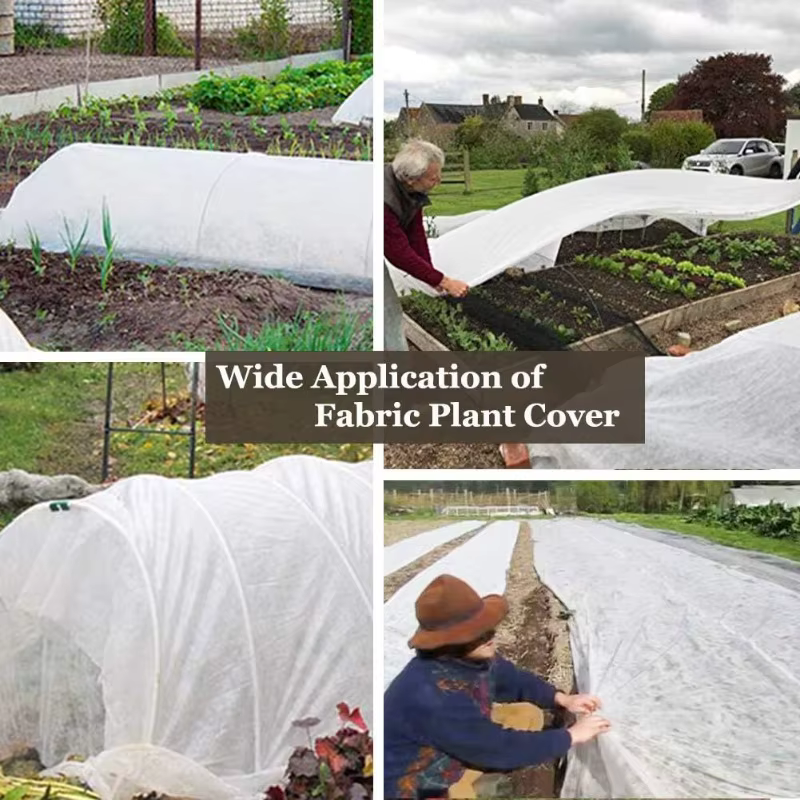 Couvertures pour plantes flottantes