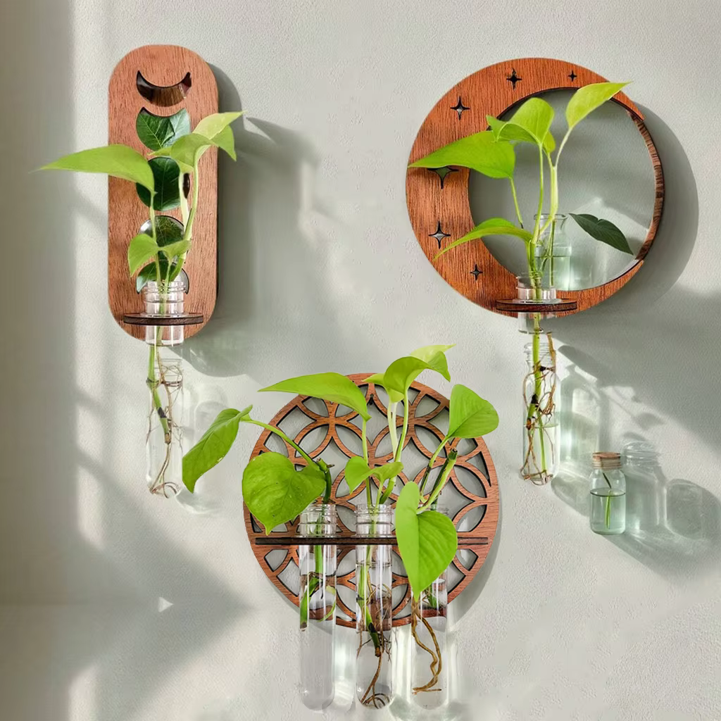 Terrarium vertical avec verre pour plante
