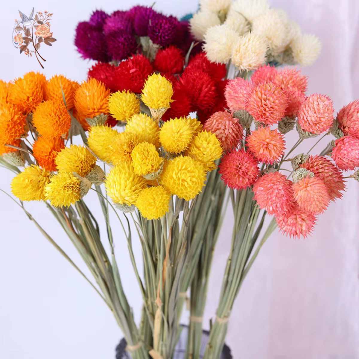 Bouquet de fleurs de fruits Harvey séchés naturels