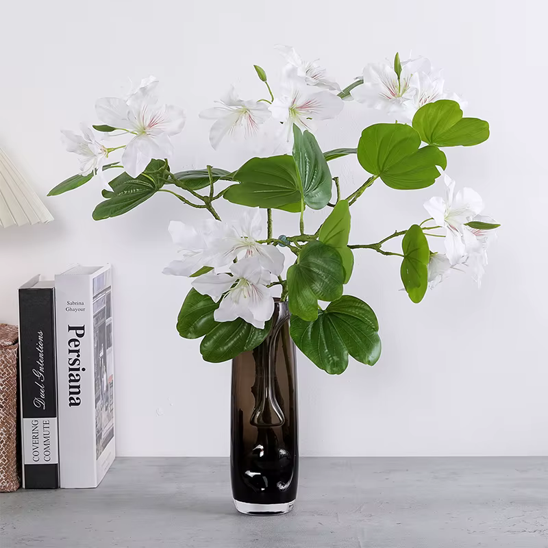 Branche de fleur Bauhinia blanche