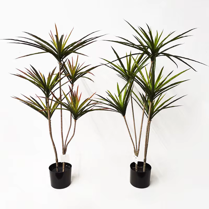 Plantes artificielles Dracaena