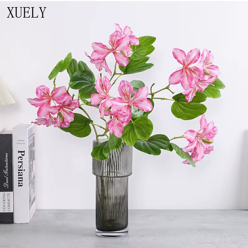 Branche de fleur Bauhinia blanche