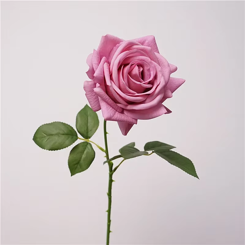 5 pièces sensation hydratante vraie touche Rose fleur fleurs artificielles décor de Mariage