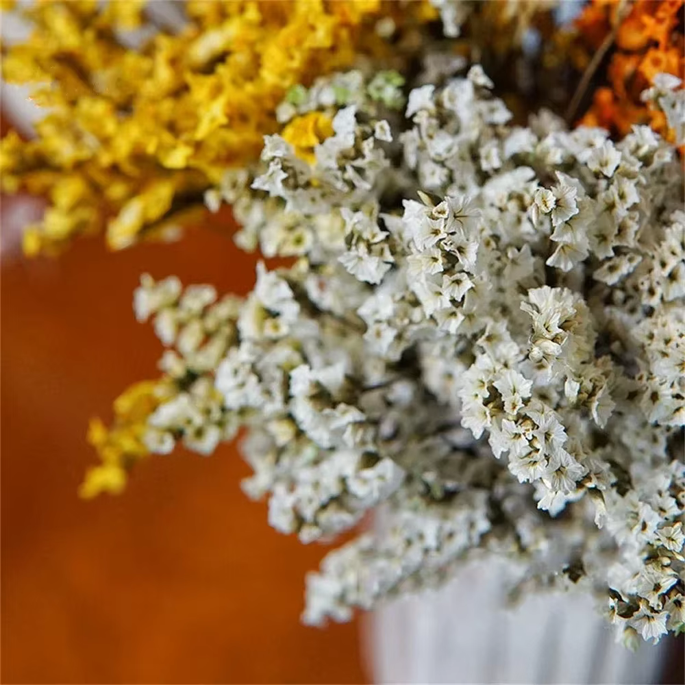 40-50cm, fleurs d'herbe en cristal séchées naturelles