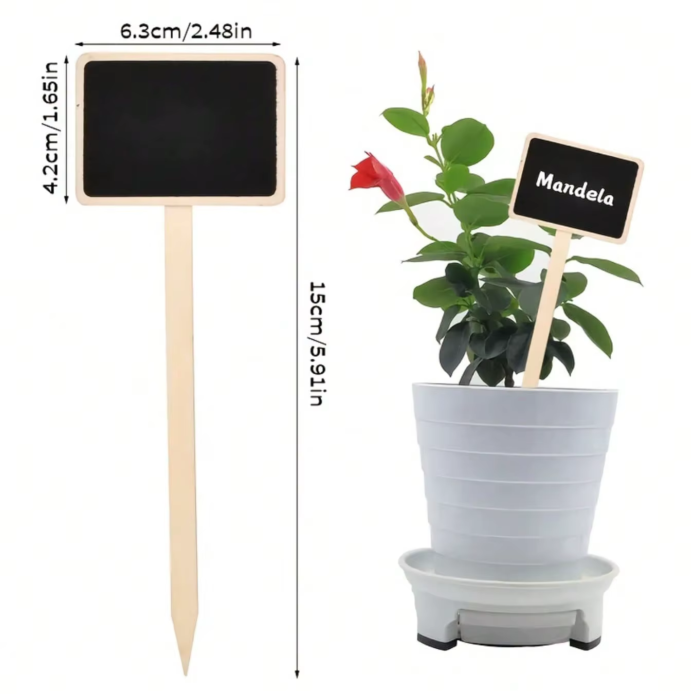 Ensemble de 10 étiquettes de plantes rustiques en bois