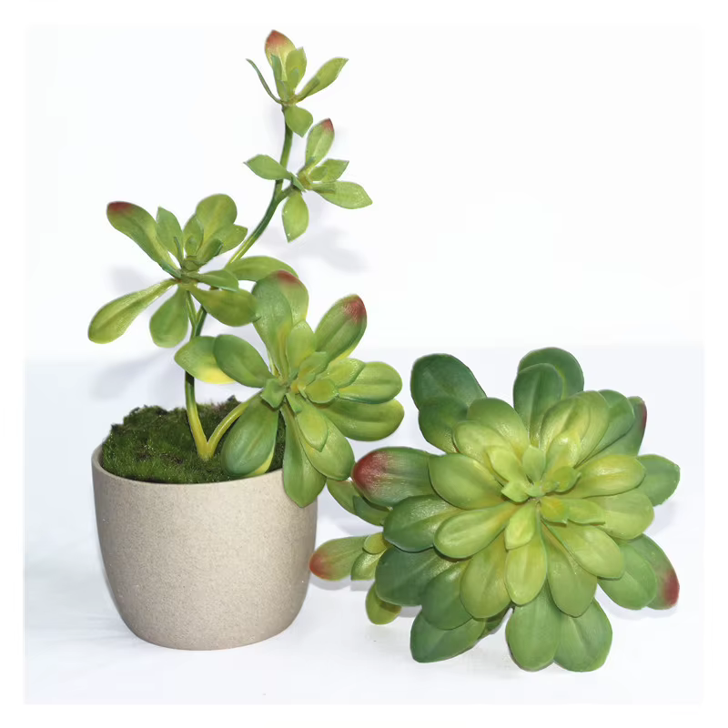 Plantes succulentes artificielles vertes et rouges