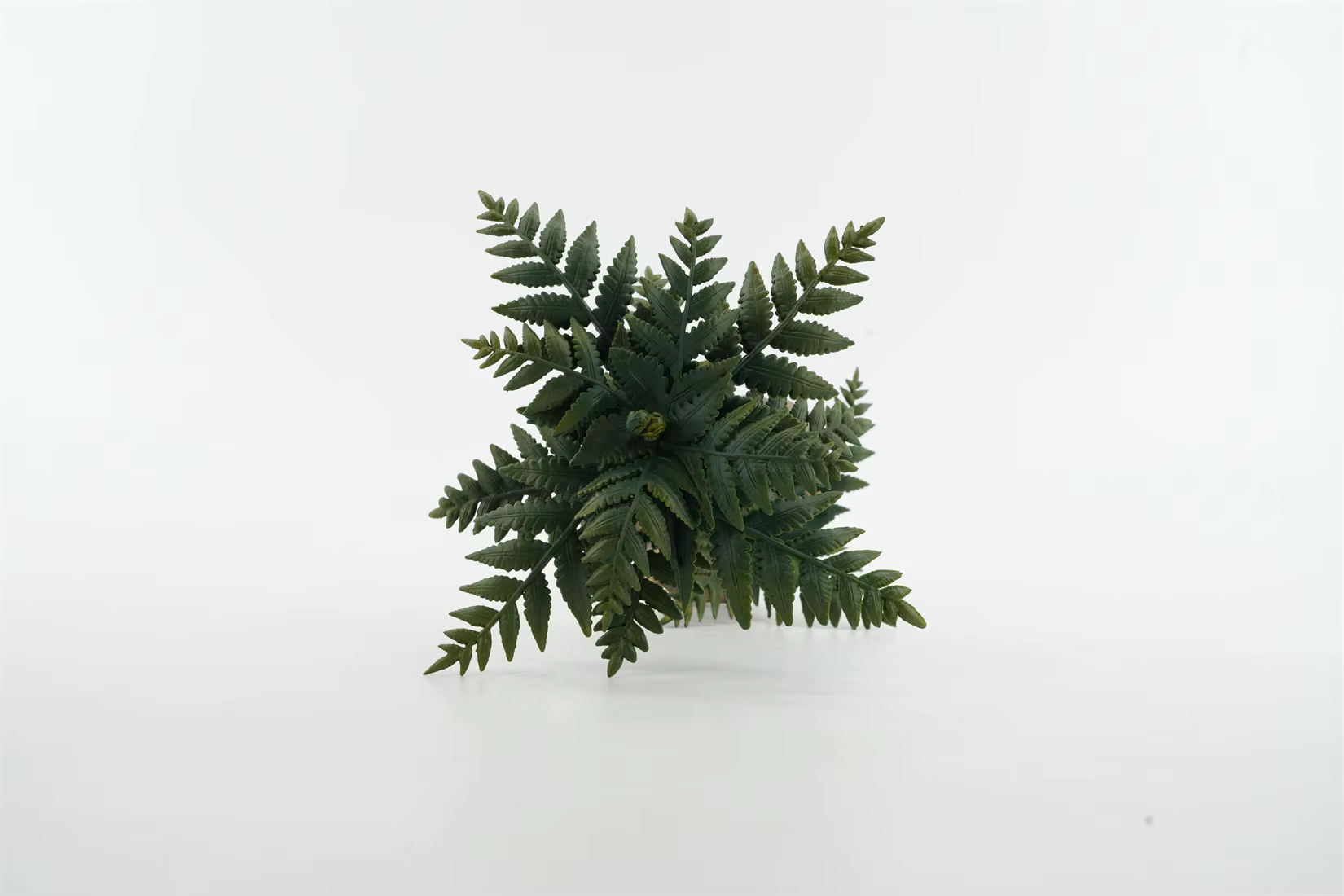 TNG Studio T6080 Alsophila Spinulosa Modèle Pteridophyta Arbre Collection Scène Décoration Accessoire Cadeau d'anniversaire Figurine de plante