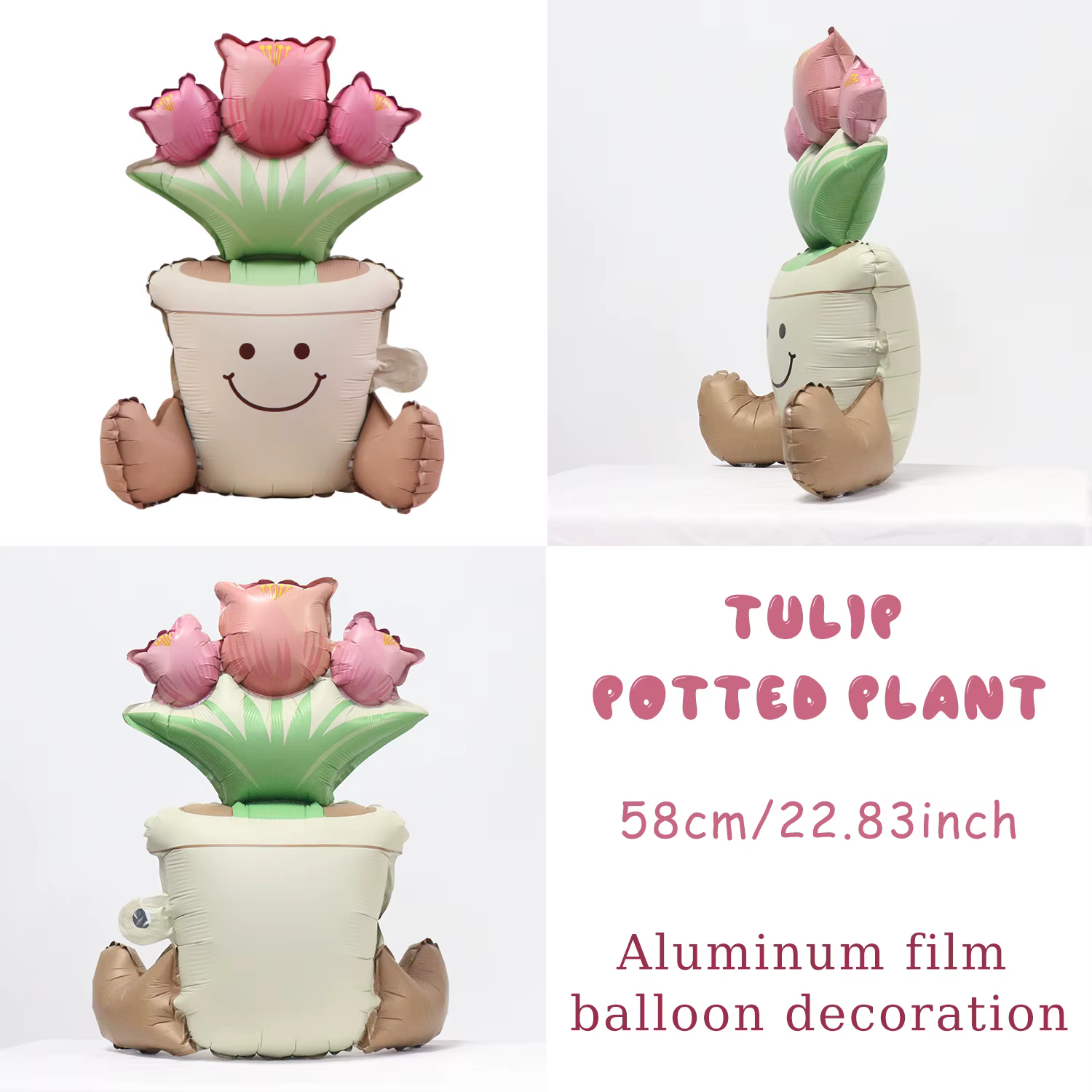 Ballon en pot de fleurs de Cactus et de tulipe mat