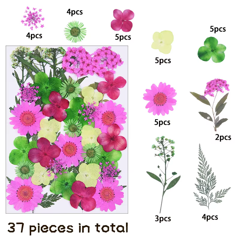 1 paquet de 34 à 40 fleurs séchées