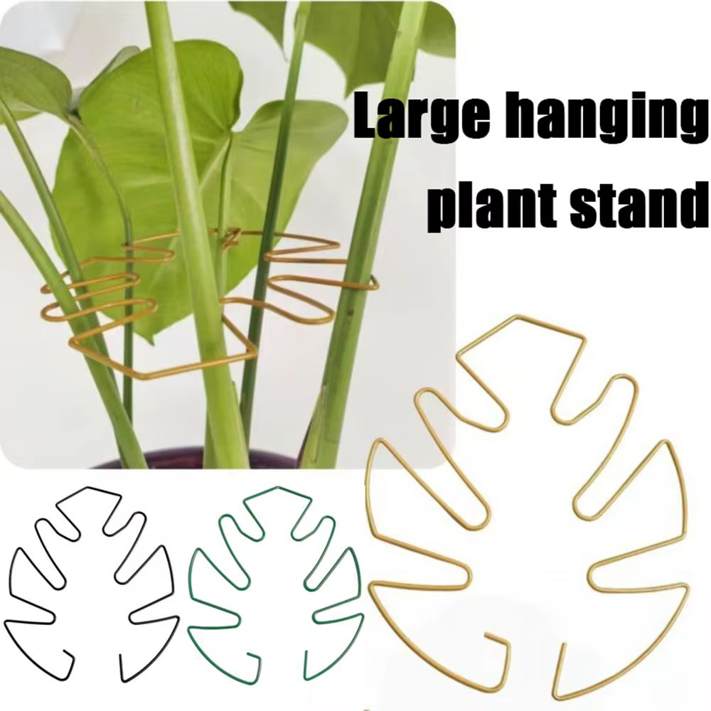 Clips de Support de tige de plante