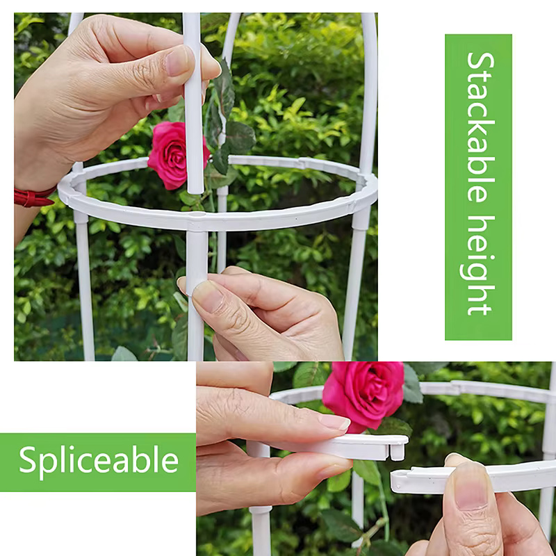Cadre de support grimpant pour plantes grimpantes