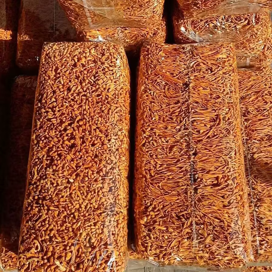 Fleur de Cordyceps séchée naturelle de qualité supérieure