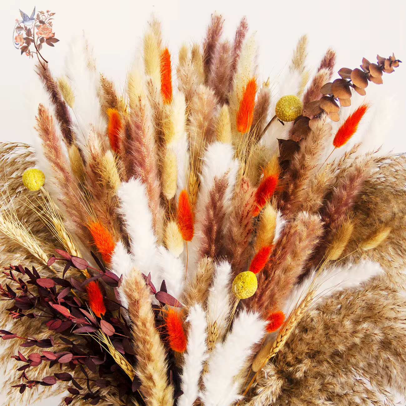 Bouquets de Pampas Moelleux