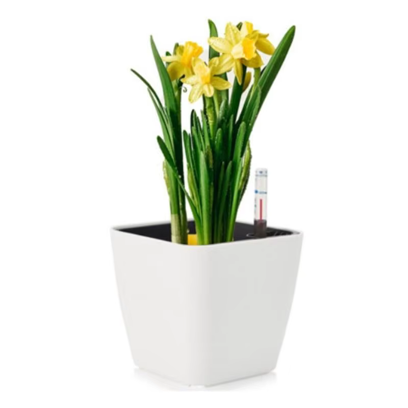 G6KF Planteur à eau auto avec indicateur niveau d'eau Pots fleurs décoratifs pour chambre cuisine Bureau des maisons