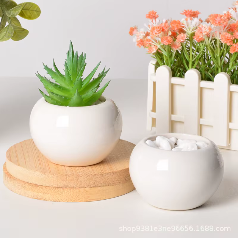 Petit pot rond en céramique pour plantes succulentes