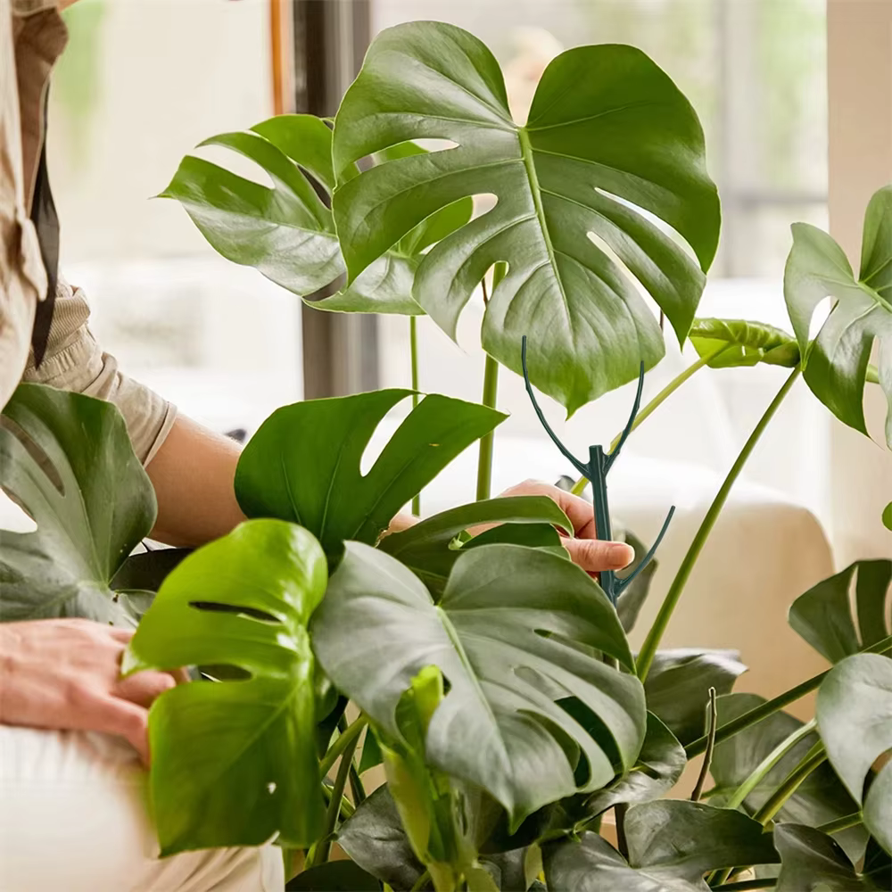 Supports de plantes en plastique