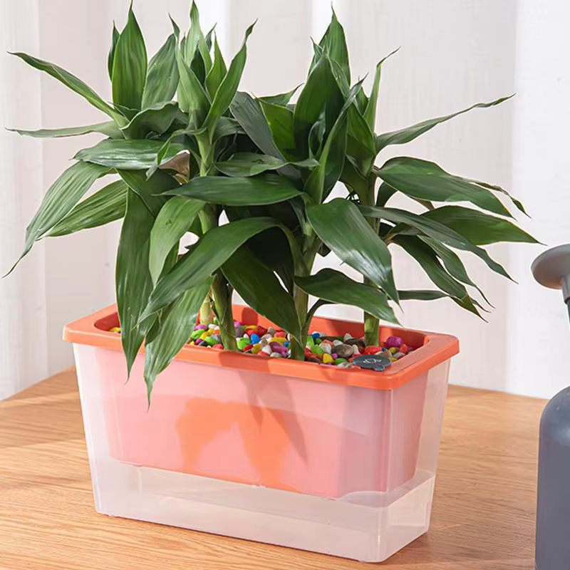 Pot de fleurs auto-arrosant
