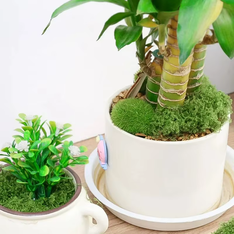 Mousse verte artificielle 300/30g pour plantes en pot