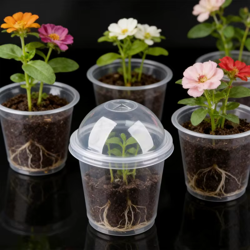 Pots de pépinière transparents avec couvercles