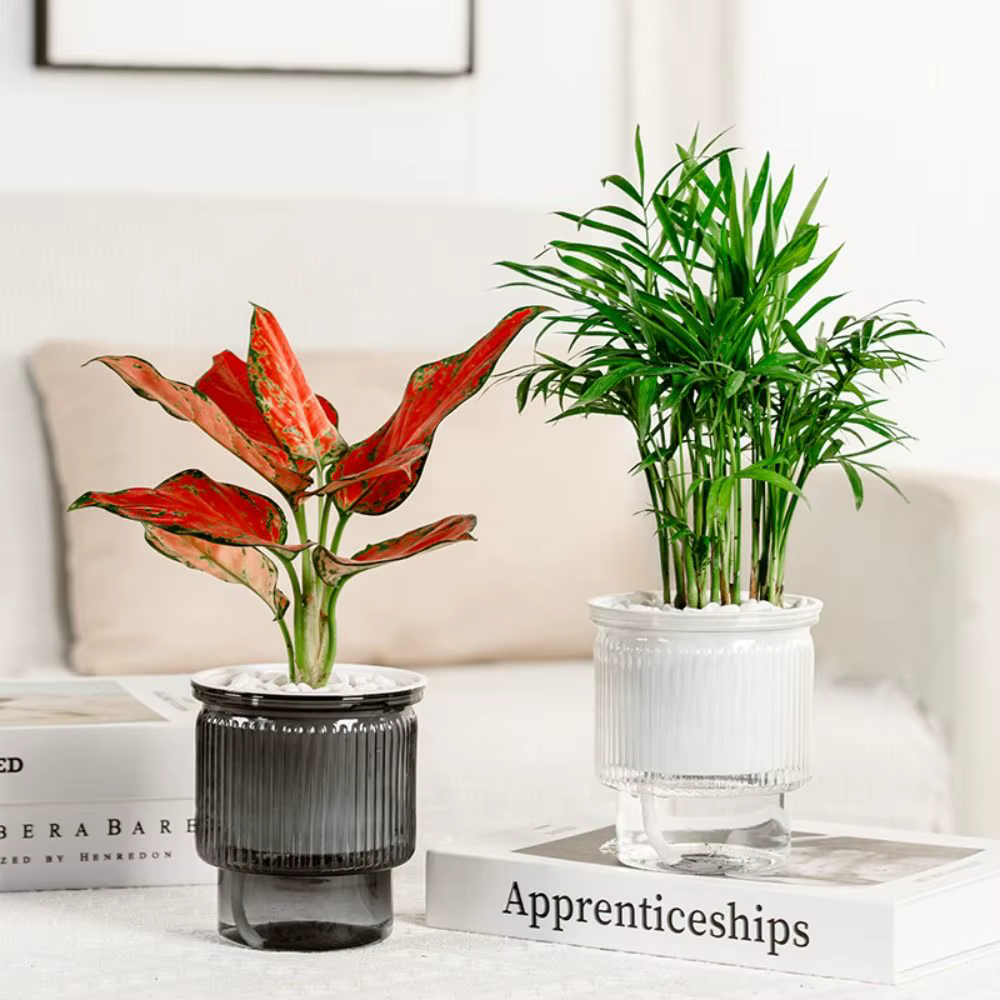 Pot de plantes hydroponiques auto-arrosant de luxe léger