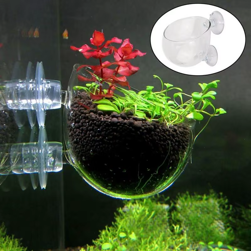 Pot d'Aquarium en Acrylique avec Ventouse pour Plantes d'Eau