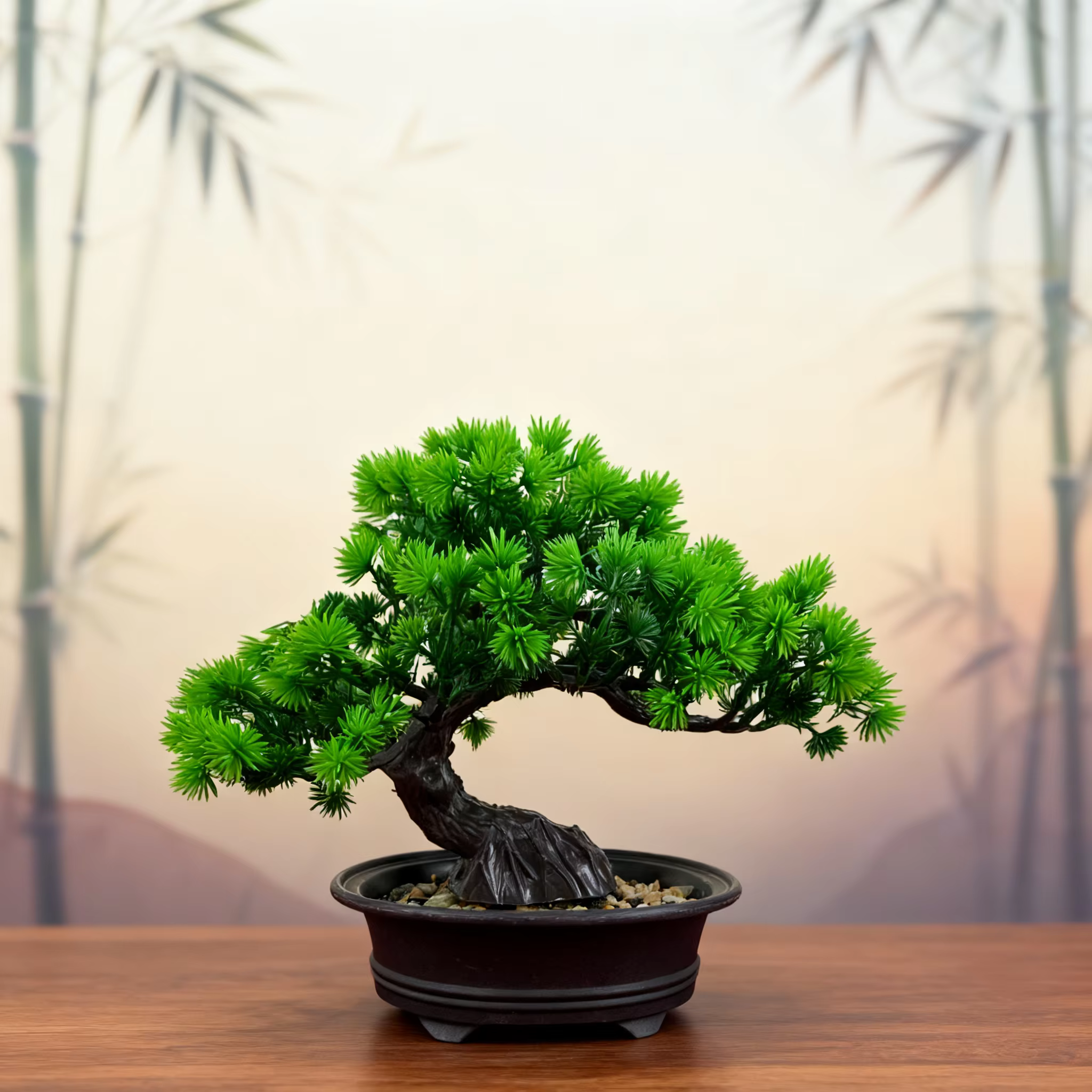 Arbre bonsaï Zen chinois