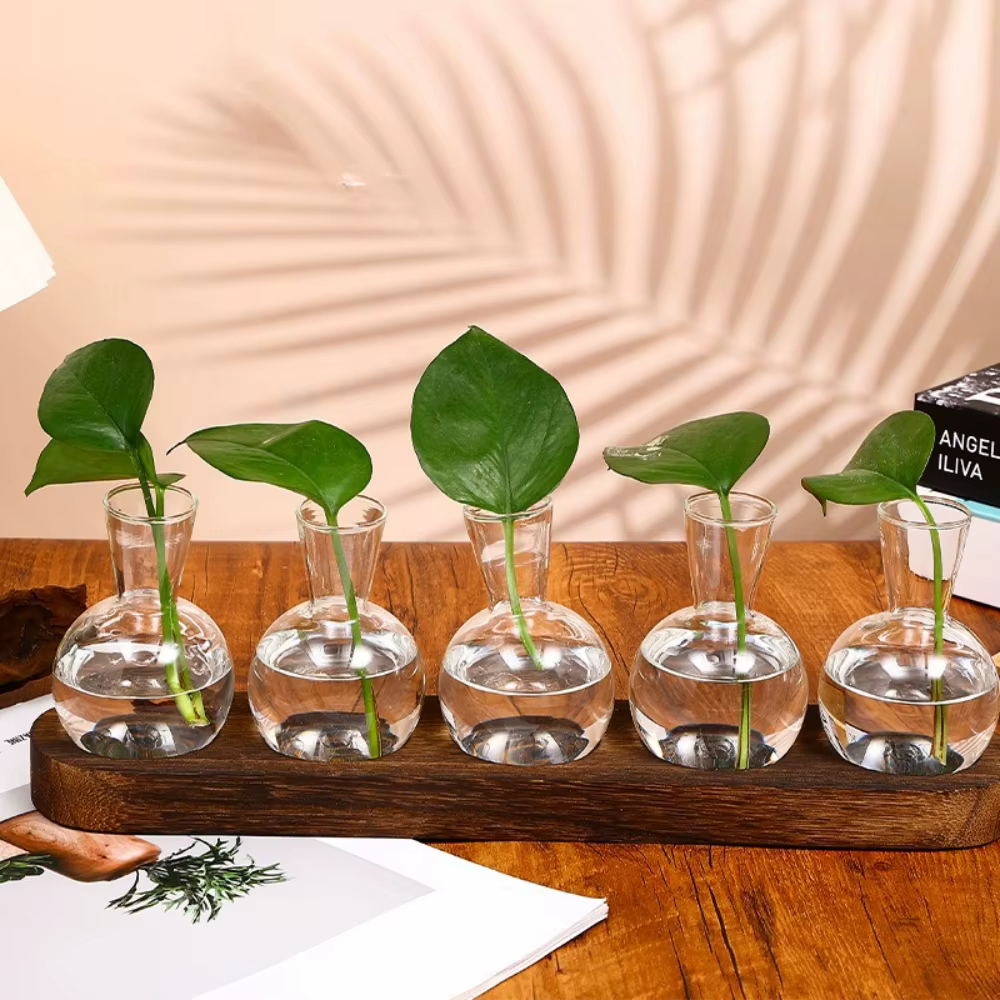 Vase en verre moderne, terrarium avec plateau en bois