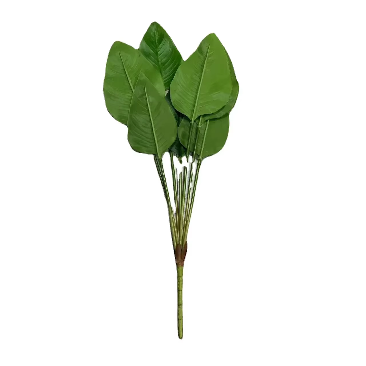 7 feuilles de plantein vert à main