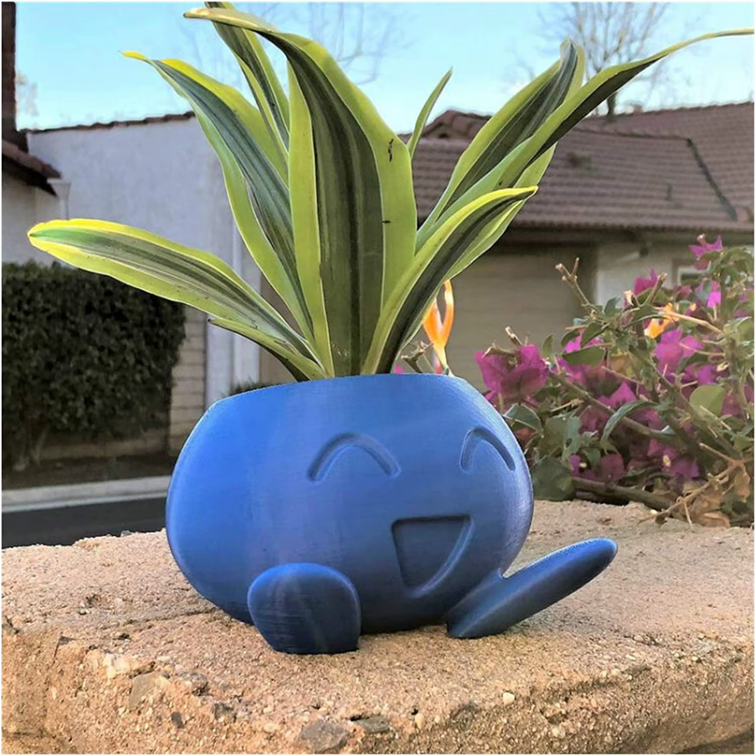 Jardinière étrange Pot de fleur