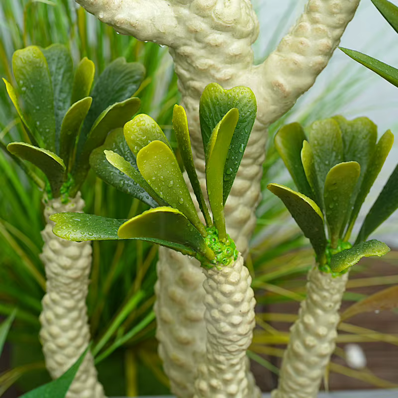 Plantes Tropicales Artificielles au Toucher Réel