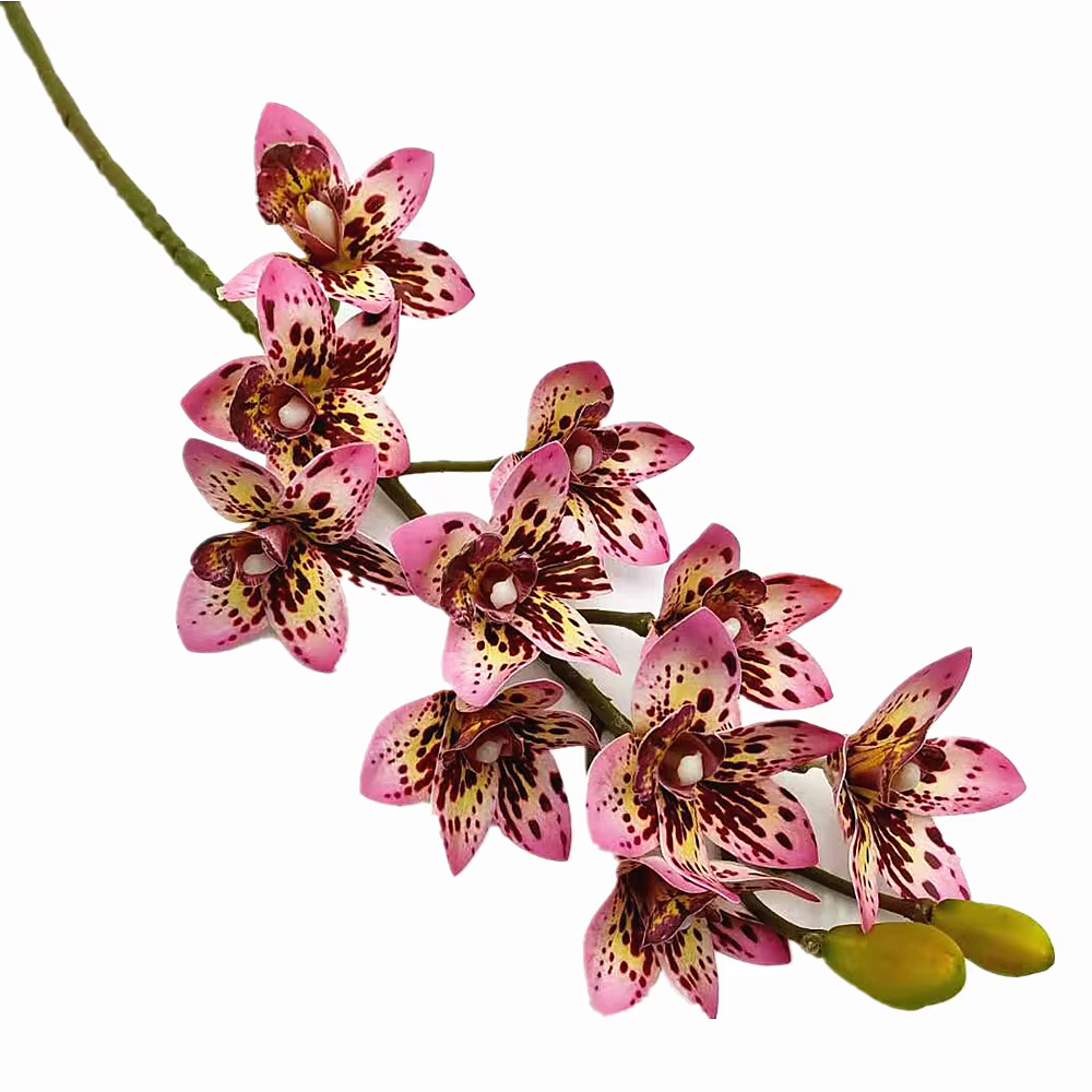 Phalaenopsis Élau toucher réaliste, plante d'orchidée, vanda, cymbidium, tigre