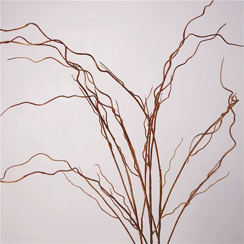 Simulation de Branches vaccées