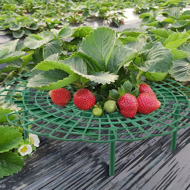 Support de plantes à fraises