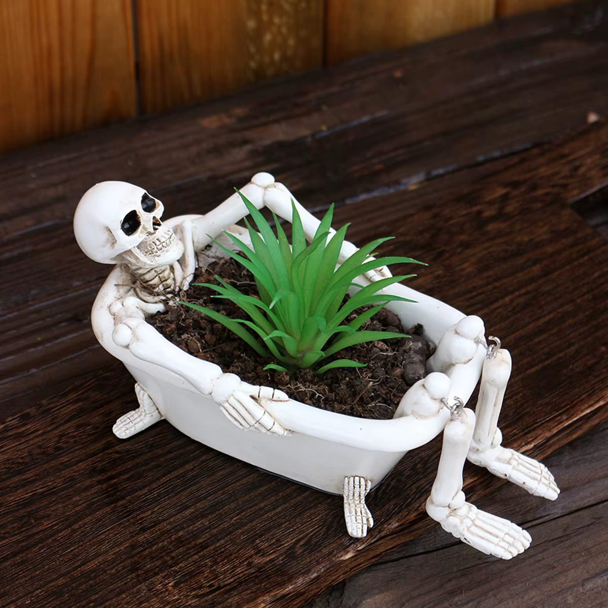 Pot de fleurs créatif en forme de crâne pour plantes succulentes