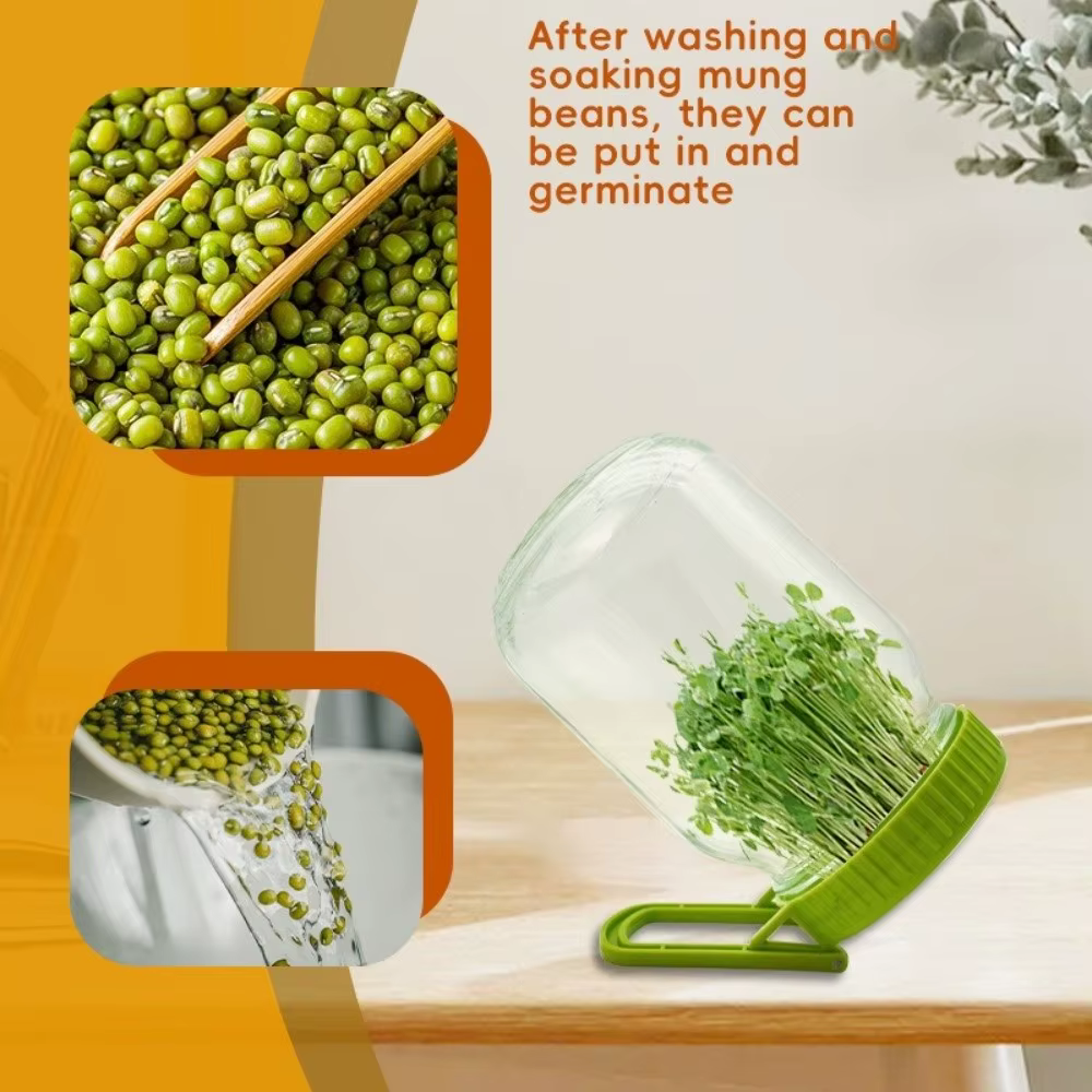 Nouveau Kit de Germination des Graines avec Support et Couvercles en Plastique