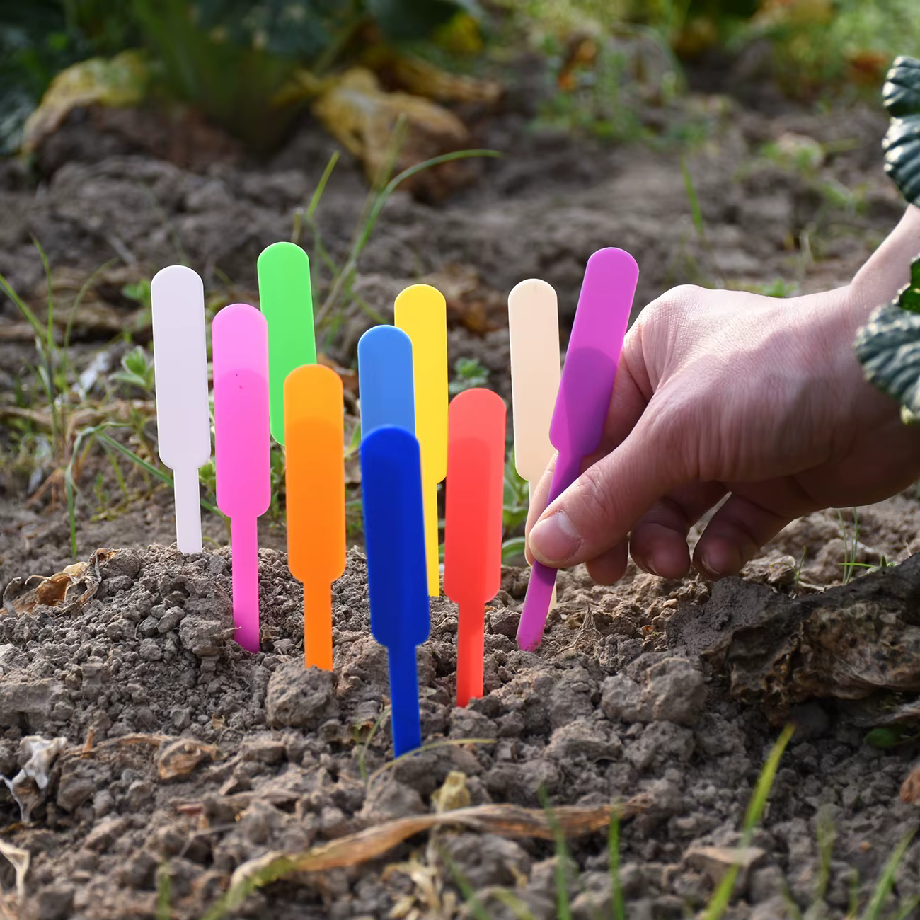 Étiquettes de plantes imperméables