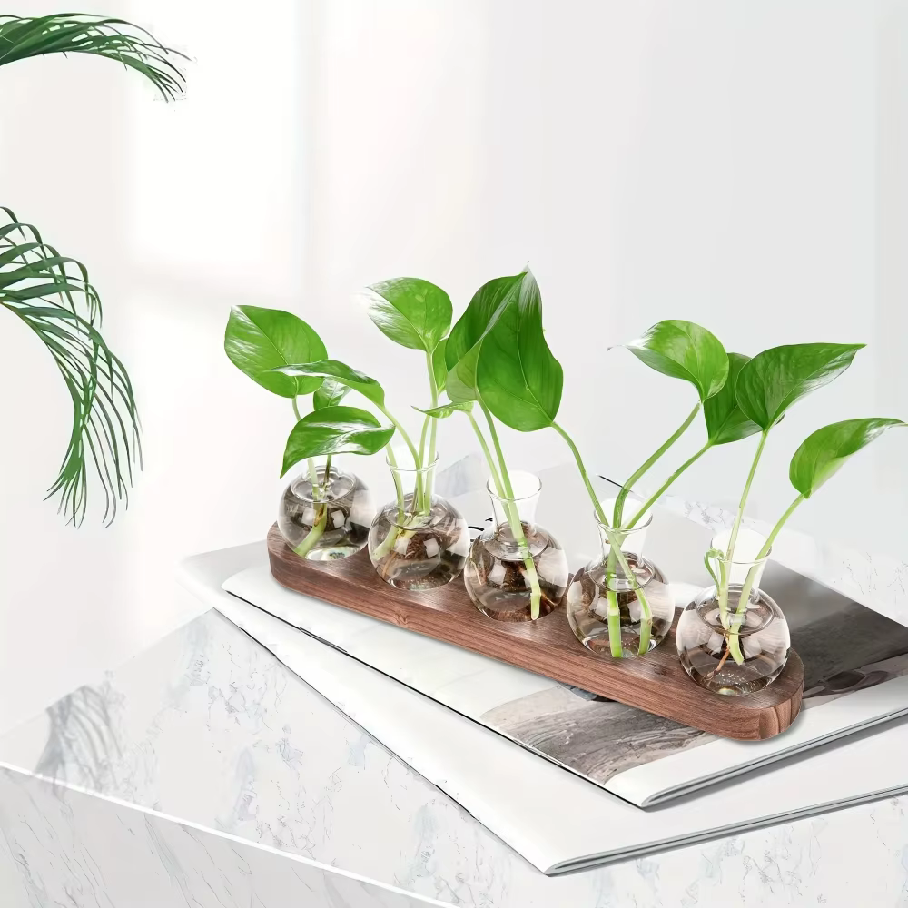 Vase en verre moderne, terrarium avec plateau en bois
