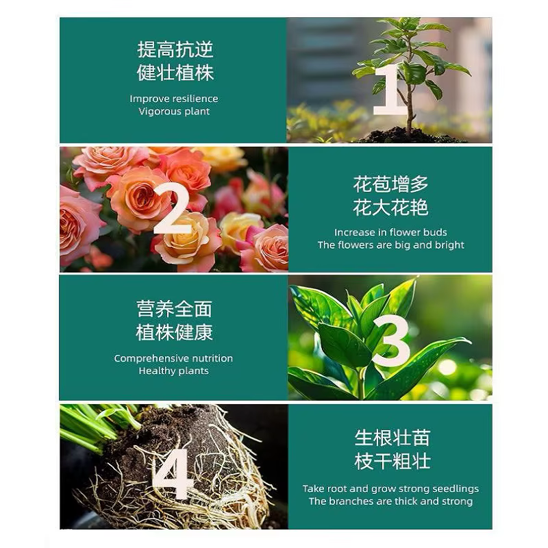 Engrais en solution d'acides aminés pour plantes d'extérieur et d'intérieur