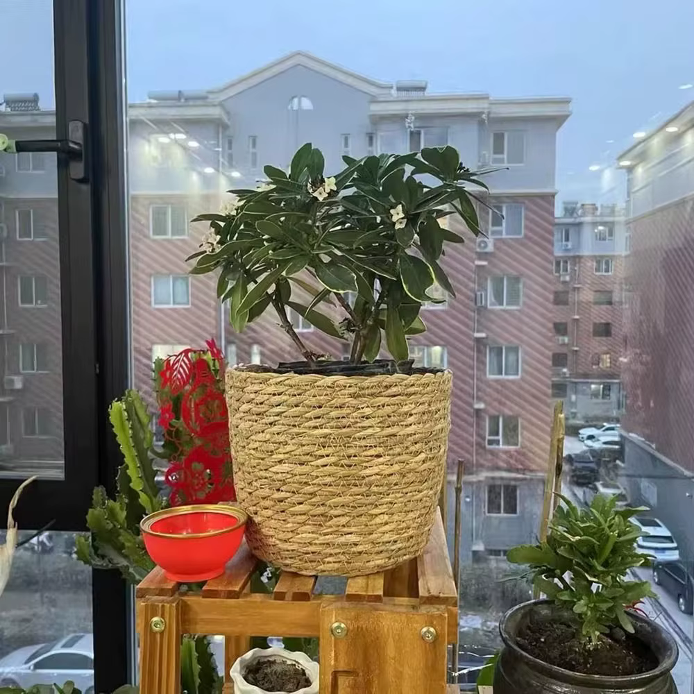 1 pièce pour terrasses de jardin